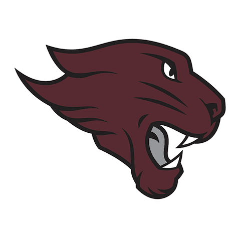 Concordia-Chicago Cougars