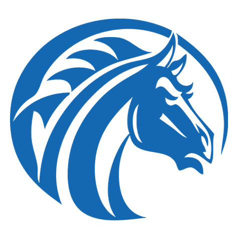 Fayetteville State Broncos