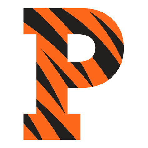 Princeton Tigers