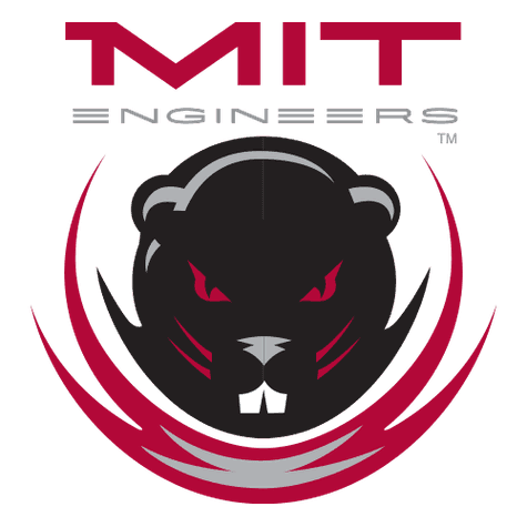 MIT Engineers