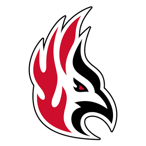 Carthage College Firebirds