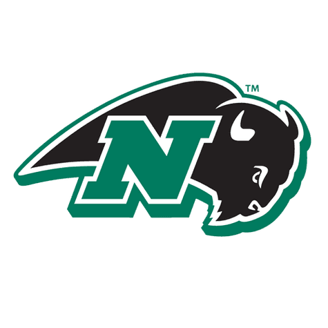 Nichols Bison