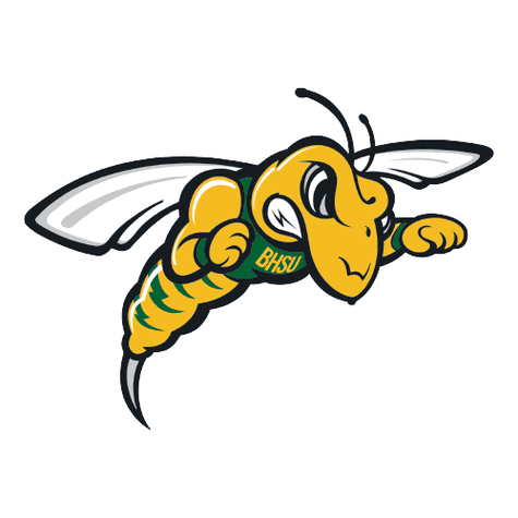 Black Hills State Yellow Jackets