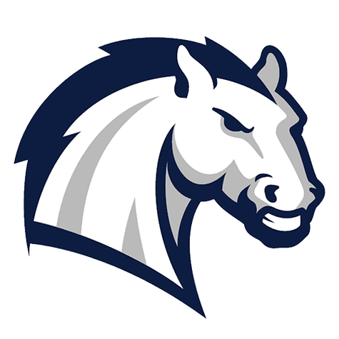 Hillsdale Chargers