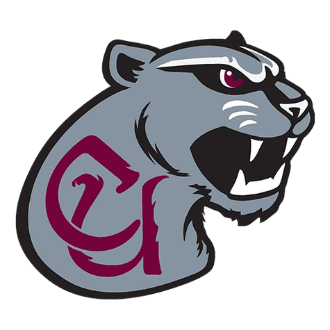 Concord Mountain Lions