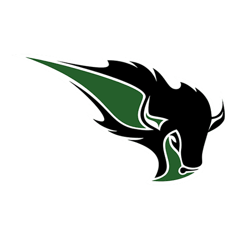 Oklahoma Baptist Bison