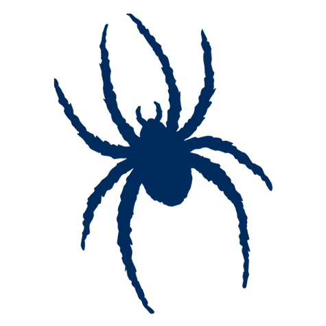 Richmond Spiders