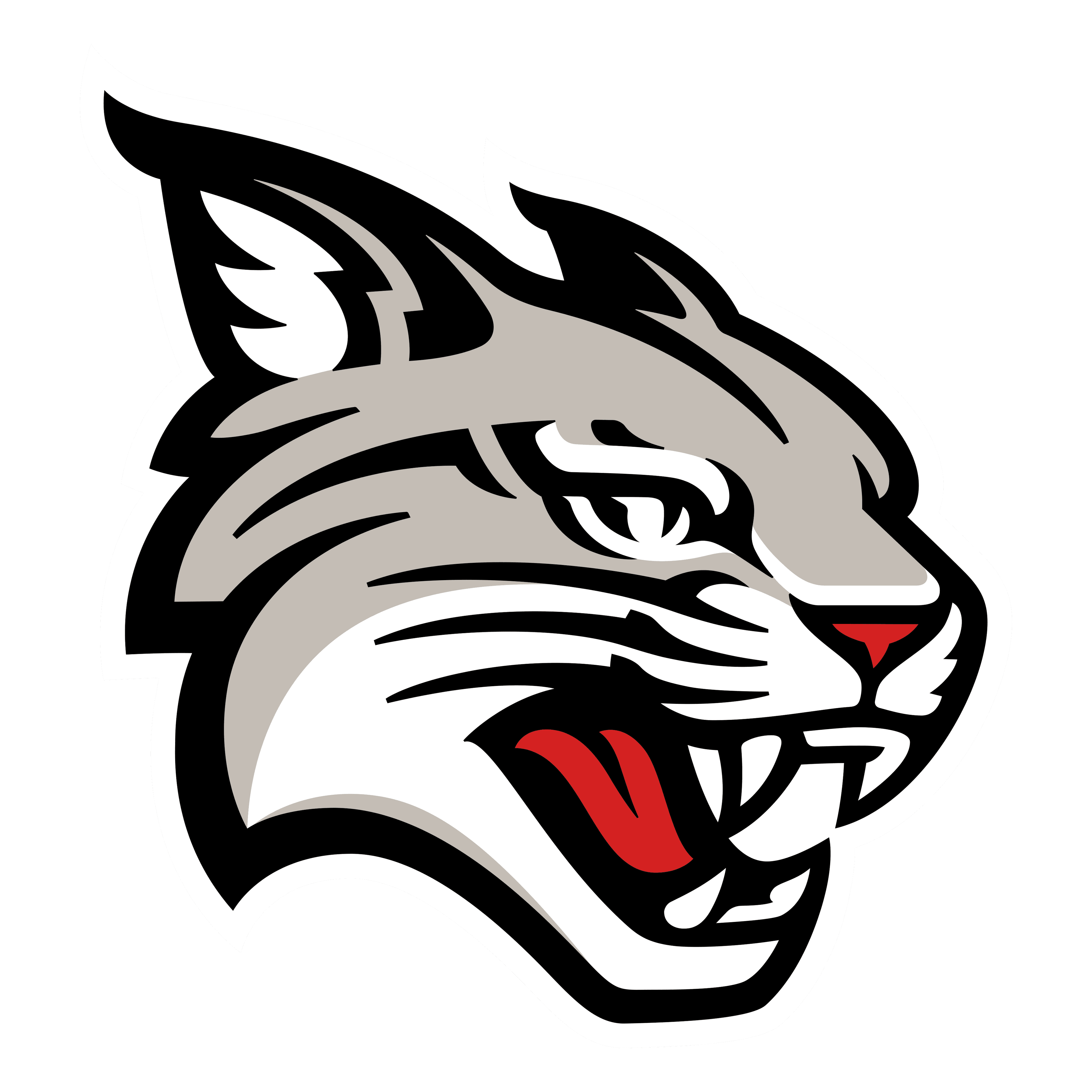 Davidson Wildcats
