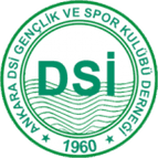 Ankara D.S.I.