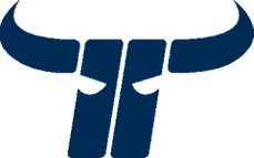 Kapfenberg Bulls