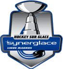 D1 logo