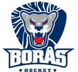 Boras