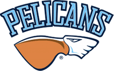 Pelicans Lahti