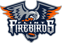 Flint Firebirds