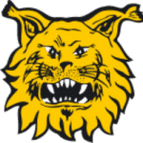 Ilves Tampere U20