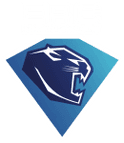 ERC Ingolstadt