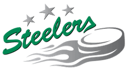 Bietigheim Steelers
