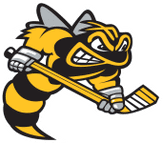 Sarnia Sting