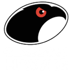 Glasgow Hawks