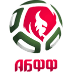 Belarus Cup logo