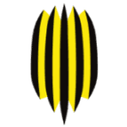 Rukh Vynnyky