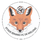 Stade Renard