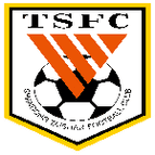 Shandong Taishan