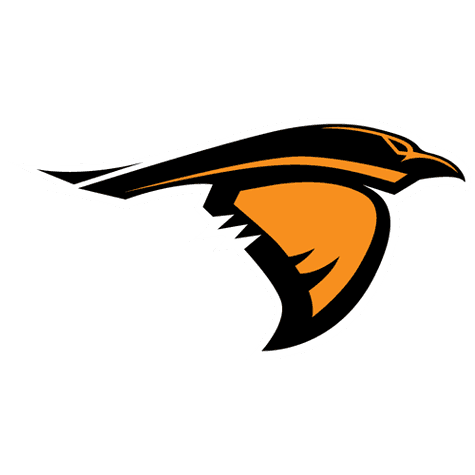 Anderson (IN) Ravens