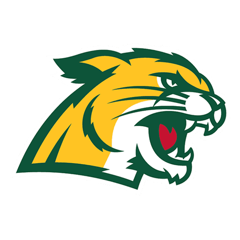 Northern Michigan Wildcats