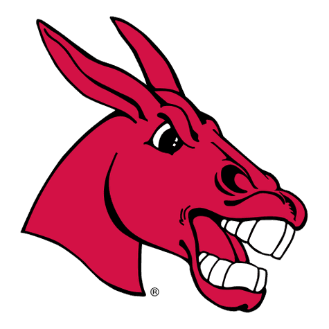 Central Missouri Mules