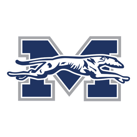 Moravian Greyhounds