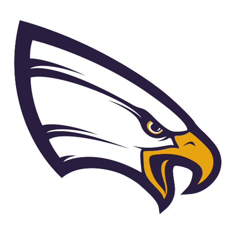 Univ. of Northwestern-St. Paul Eagles