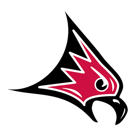 Wisconsin-River Falls Falcons
