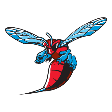Delaware State Hornets