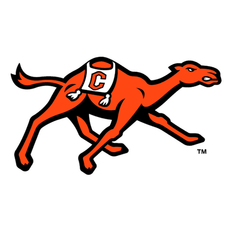Campbell Fighting Camels