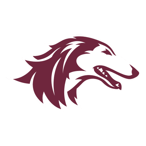 Southern Illinois Salukis