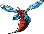 Delaware State Hornets