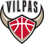 Salon Vilpas Vikings