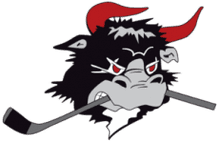 Rodovre Mighty Bulls
