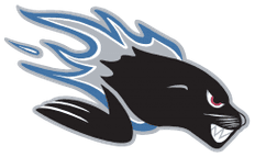 Saint John Sea Dogs