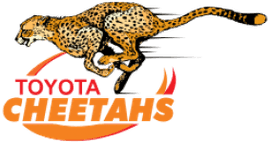 Cheetahs