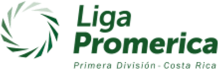 Primera División logo