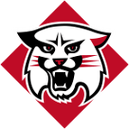 Davidson Wildcats logo