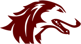 Southern Illinois Salukis logo