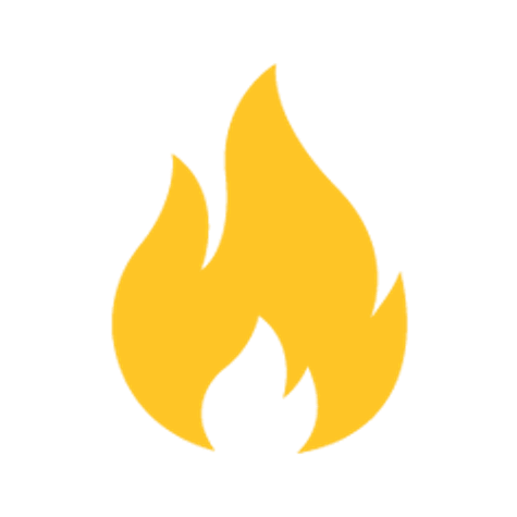 Wellington Women logo