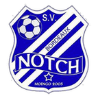 Notch logo